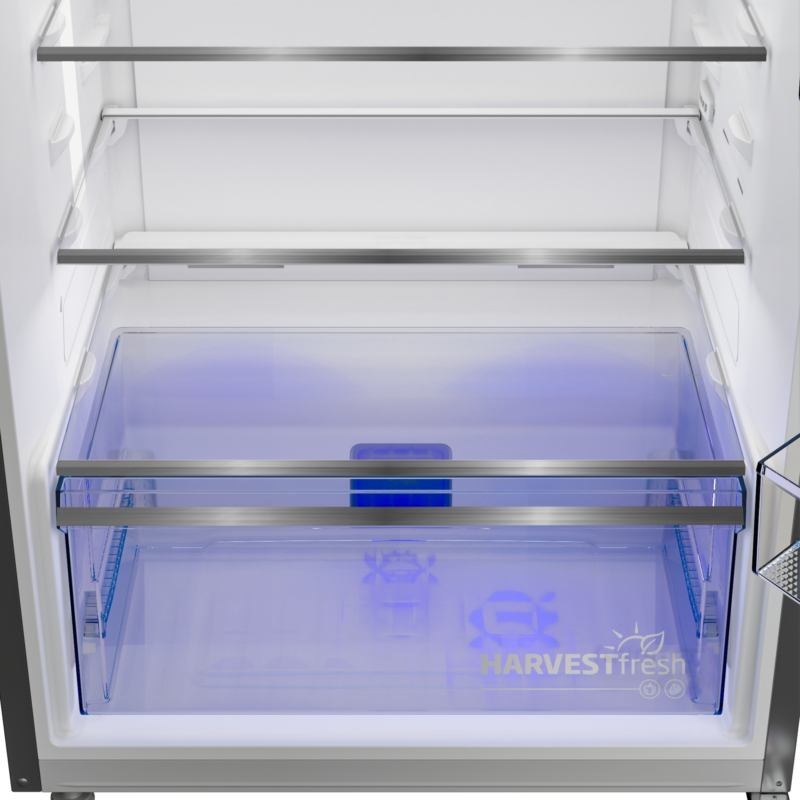 original (8) original (8)