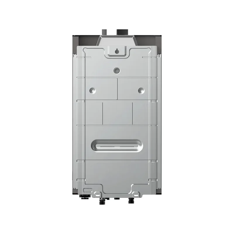 10DHS-Silver-Back-view 10DHS-Silver-Back-view